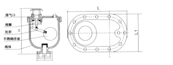 royalʼ88ƽ̨CARVʽṹͼ